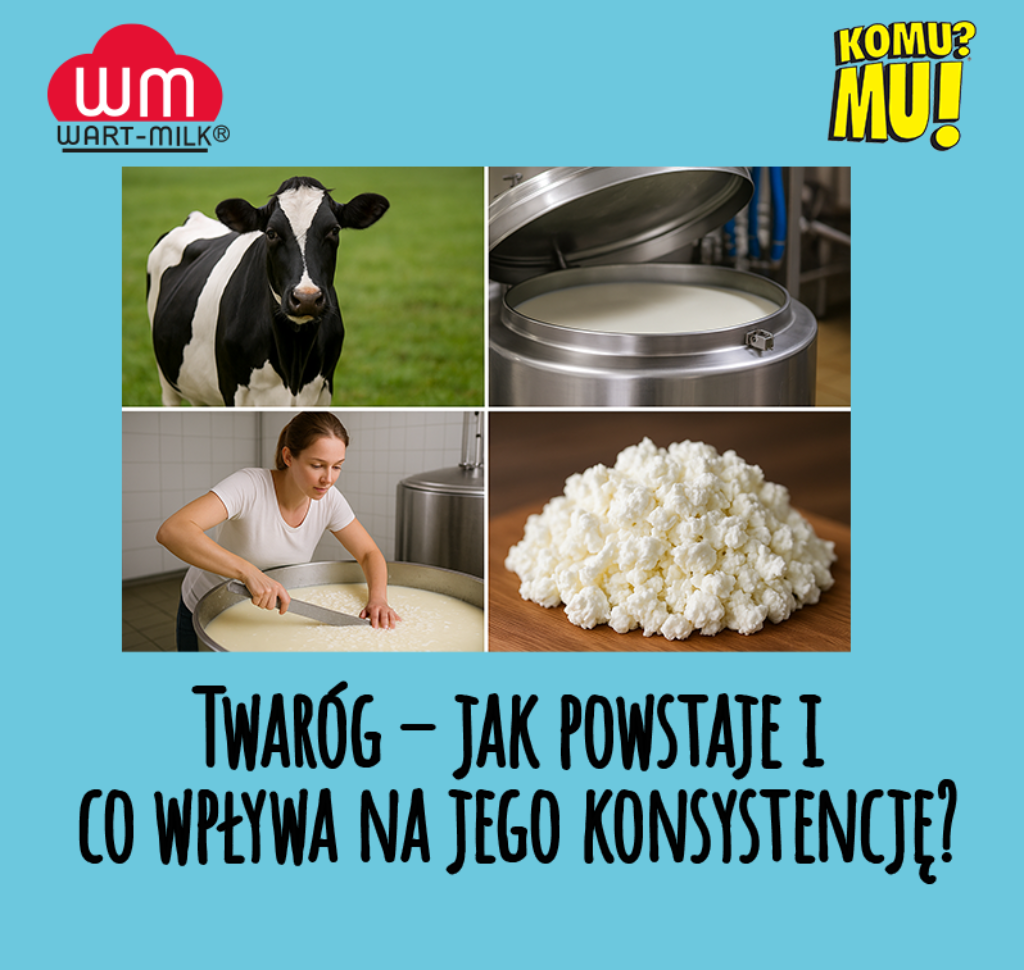 Twaróg – jak powstaje i co wpływa na jego konsystencję?