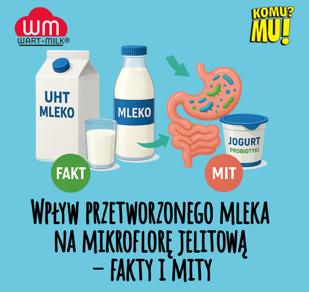 Wpływ przetworzonego mleka na mikroflorę jelitową – fakty i mity